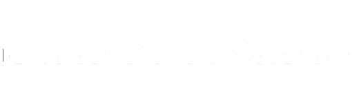 Shoes Care Meister シューケアマイスターHP