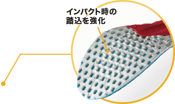 オーソライトクッション