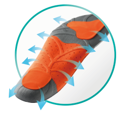 マルチディレクションシステム