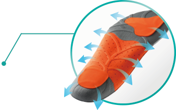 マルチディレクションシステム